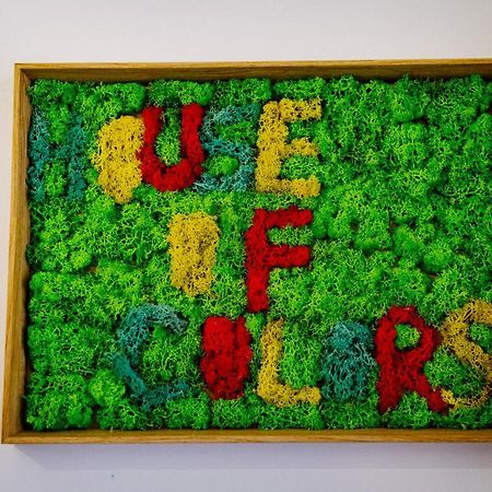 شقة House Of Colors Petroşani المظهر الخارجي الصورة