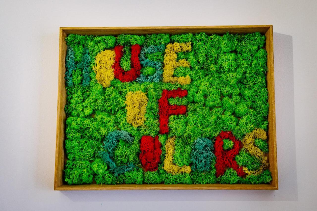 شقة House Of Colors Petroşani المظهر الخارجي الصورة
